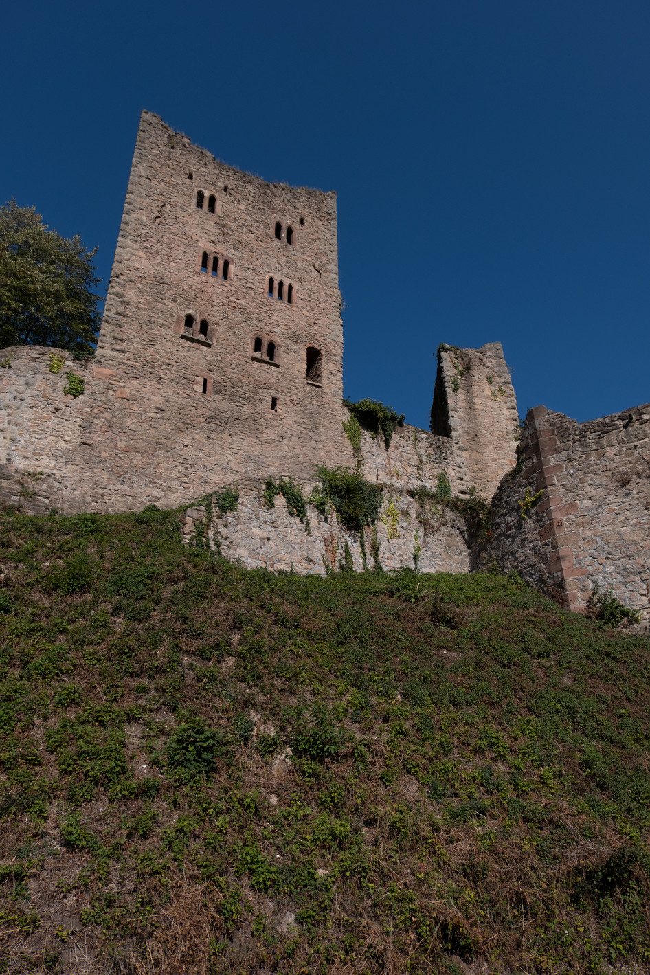 Schauenburg Schauenburg